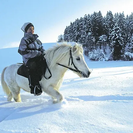 Chalets Ebner, Prázdninový dům *